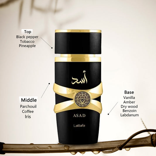 Asad Long Lasting Luxury Perfume for Men 100ML